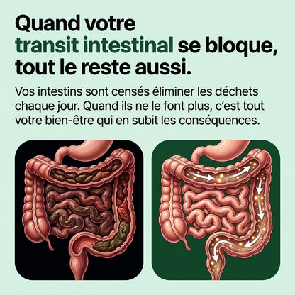 Matcha Digestion – La Solution Naturelle contre la Constipation