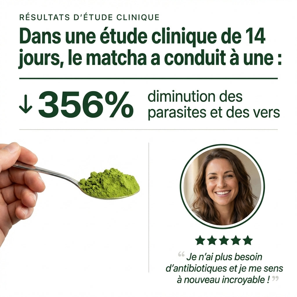 Matcha Digestion+
